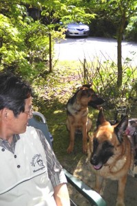 佐瀬さんのワンちゃんたち