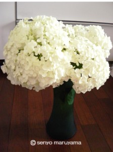 丸山茜葉　紫陽花　部屋